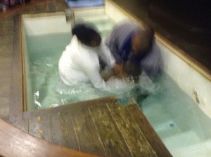 IMG 0671